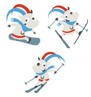 Snow Sports